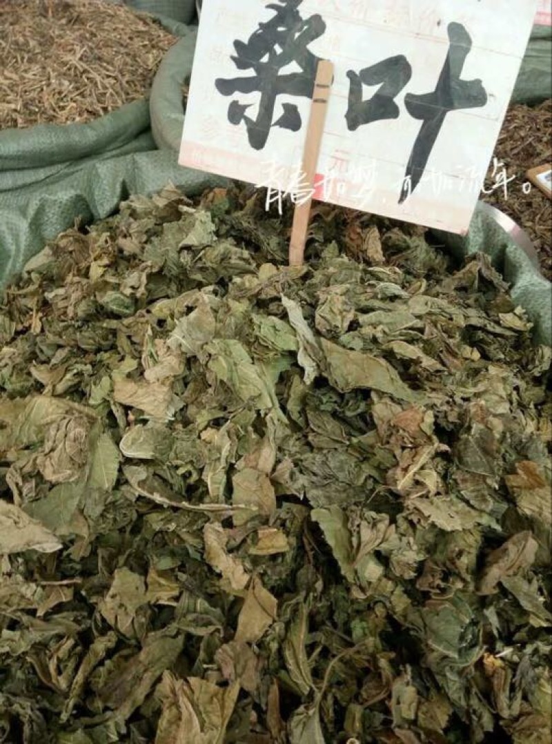 桑叶
