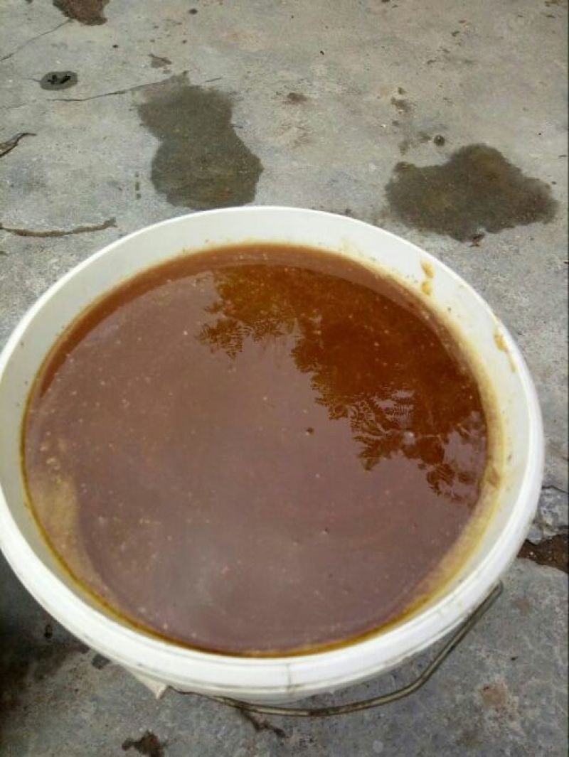 土蜂蜜