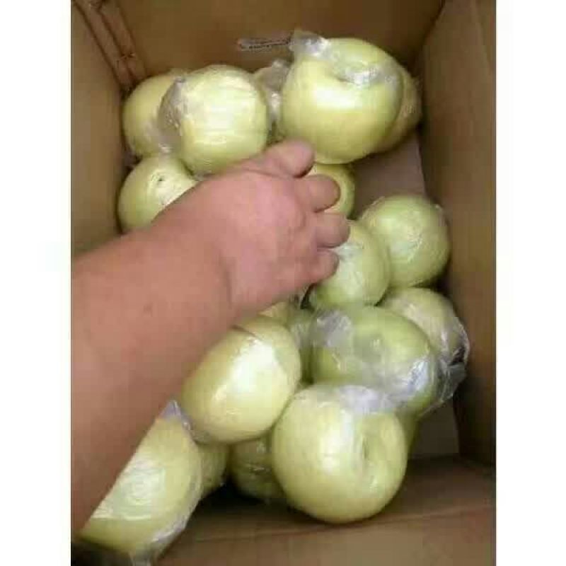 黄金梨200~250g纸袋
