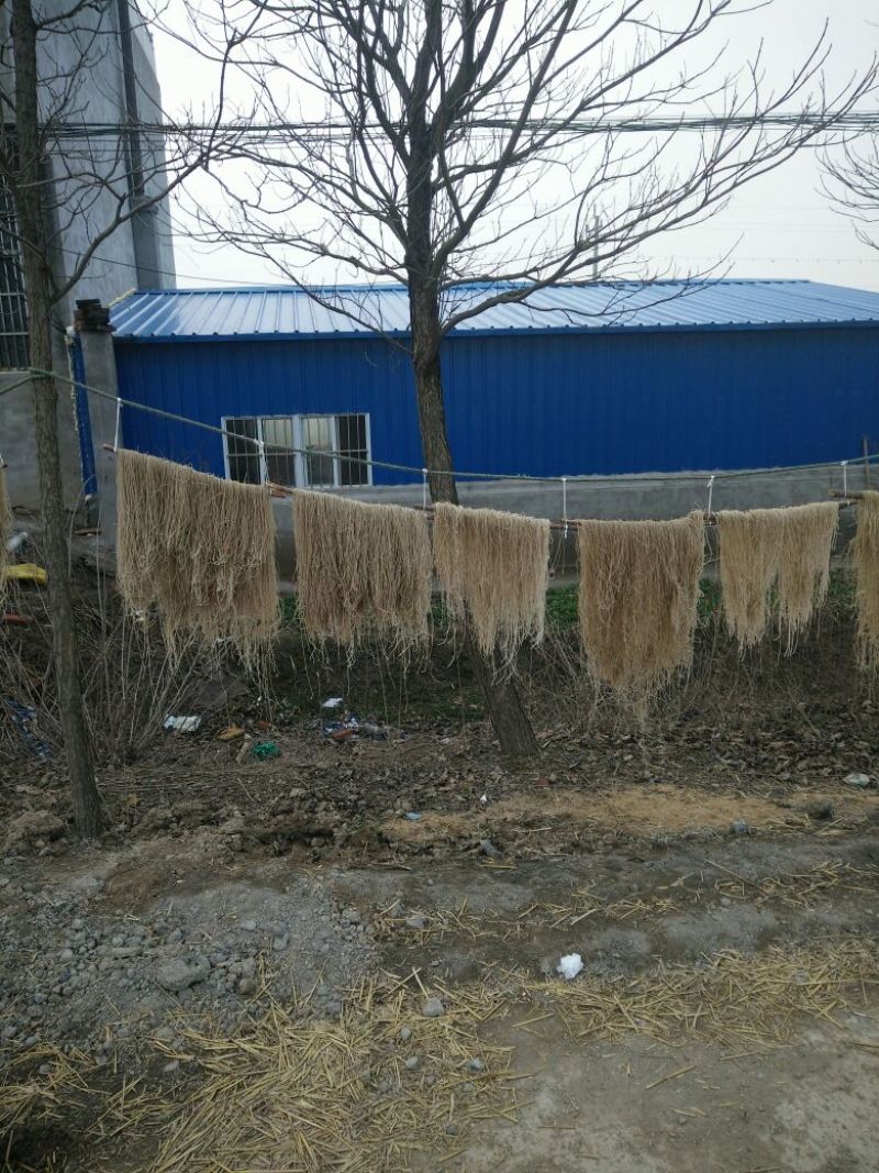 红薯粉丝散装