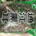 黑木耳一级