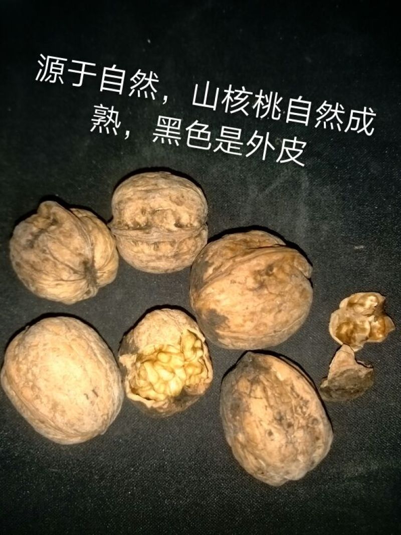 绵核桃30mm以上去皮干