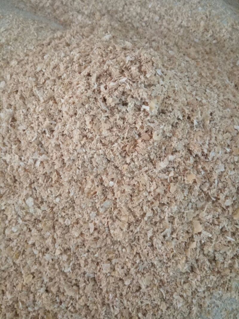 麦麸