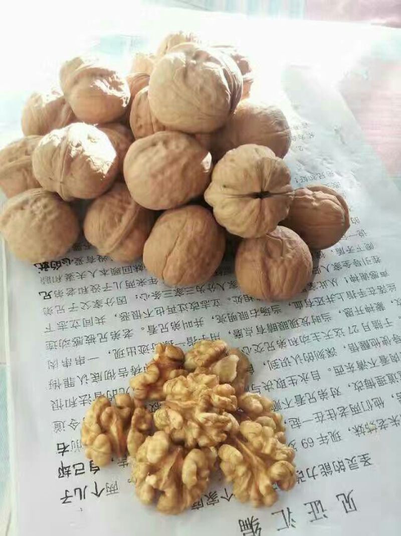 纸皮核桃去皮干