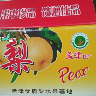 爱宕梨300~350g纸袋