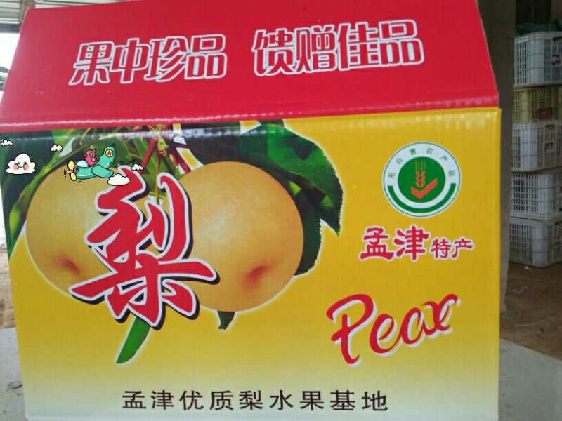 爱宕梨300~350g纸袋
