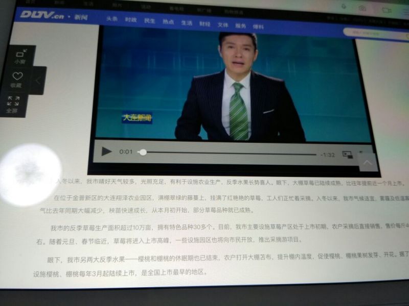 山核桃25mm以下去皮干