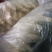 白萝卜2~2.5斤起