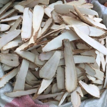 川白芷散装