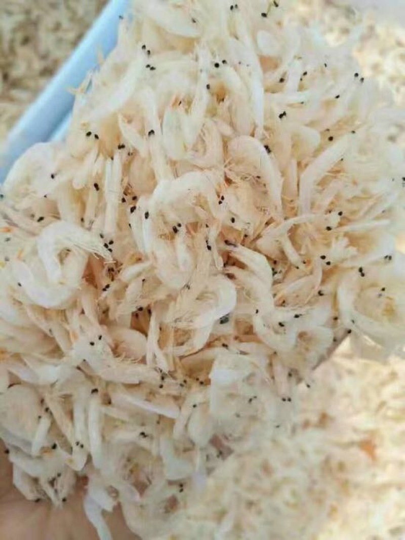 虾皮