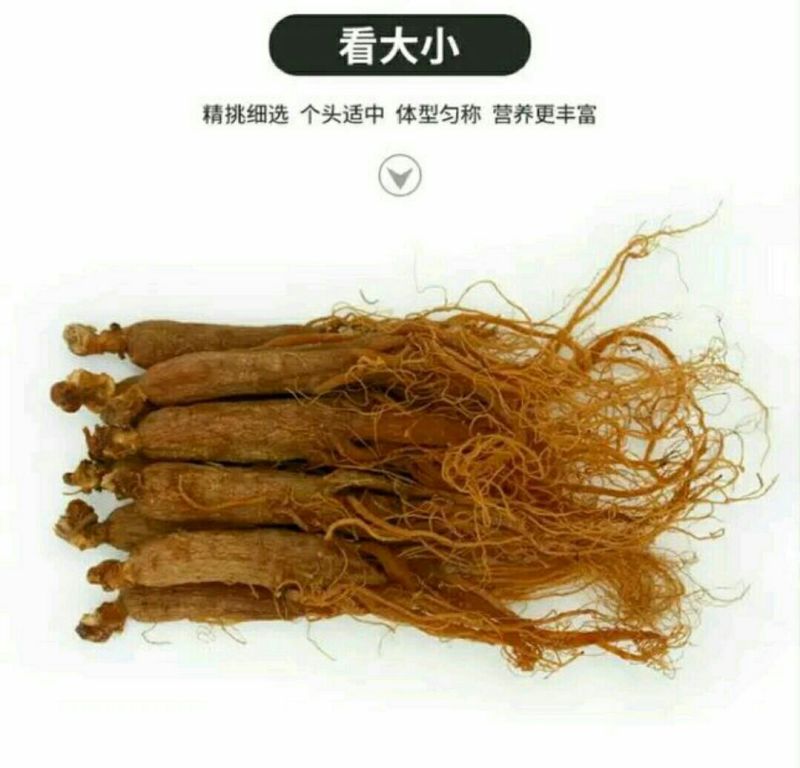 红参