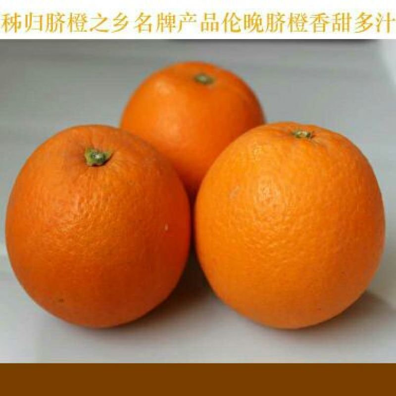 伦晚脐橙产地直发看货论价保质保量欢迎定购