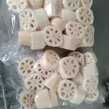 洪湖莲藕，好泥出好藕粉藕产地直发量大欢迎欢迎来电