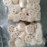 洪湖莲藕，好泥出好藕粉藕产地直发量大欢迎欢迎来电