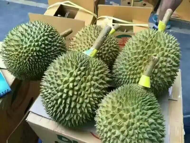 长柄榴莲3~5斤