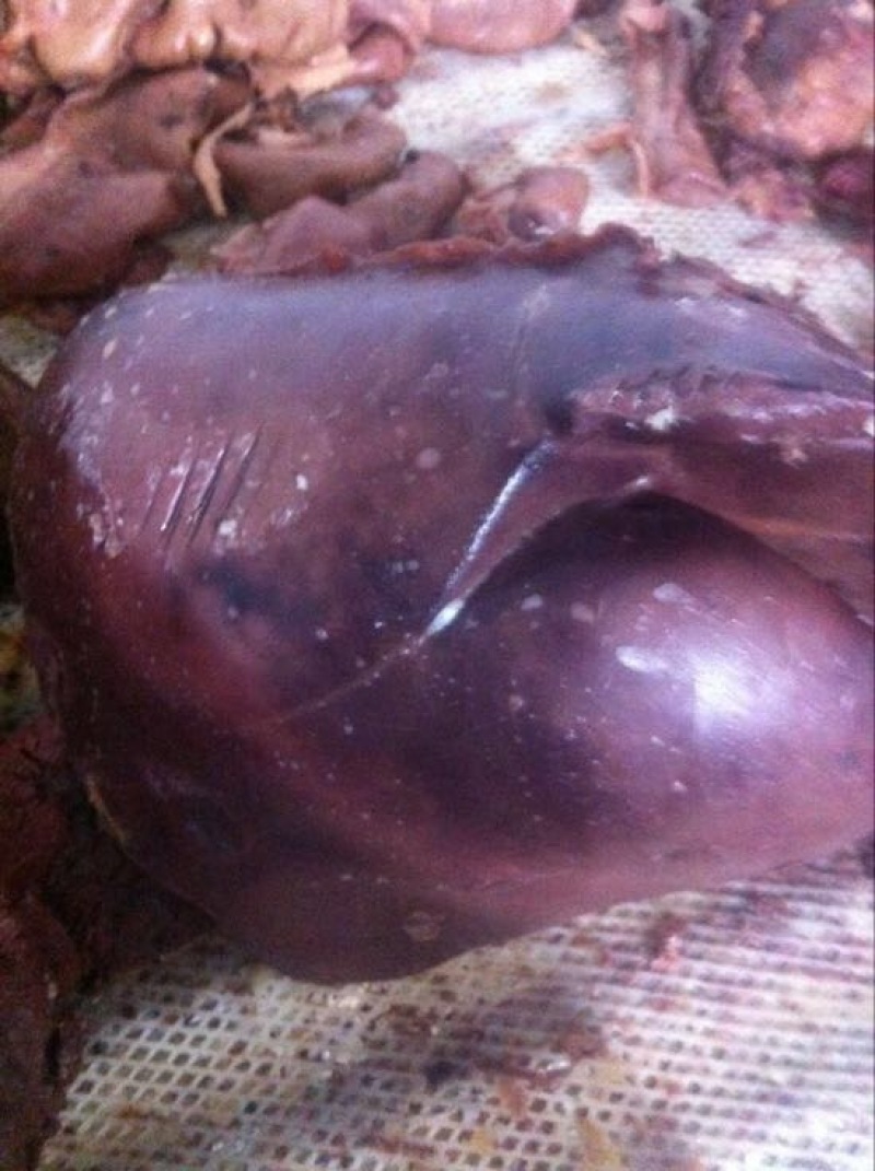驴肉河间府曹氏驴肉保真保纯