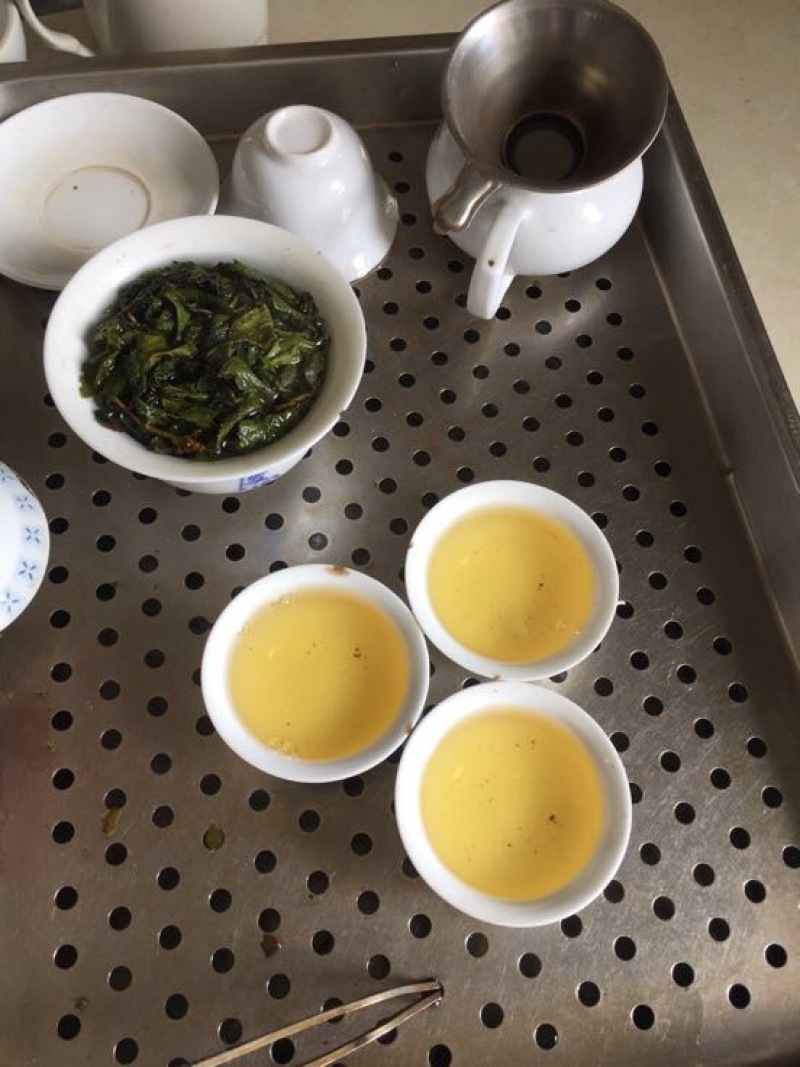本山茶