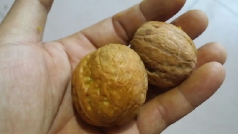 核桃去皮