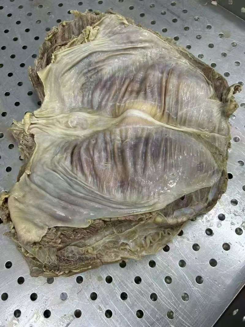 蒙古国熟牛腩
