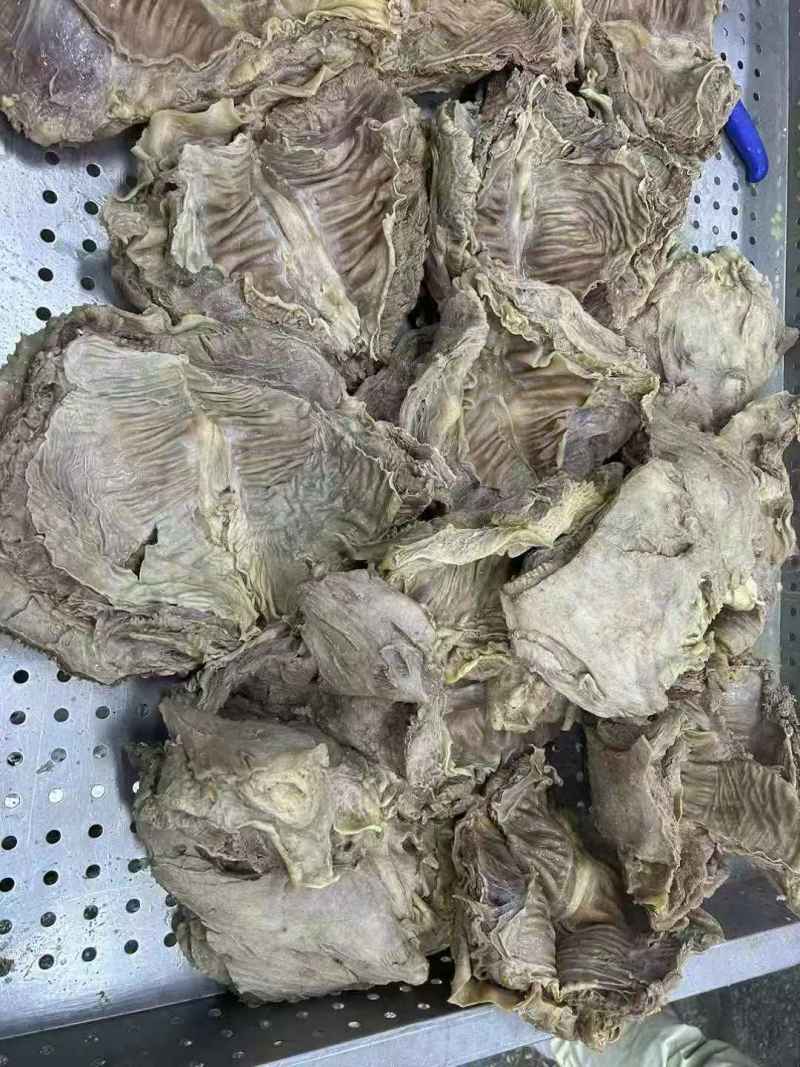 蒙古国熟牛腩