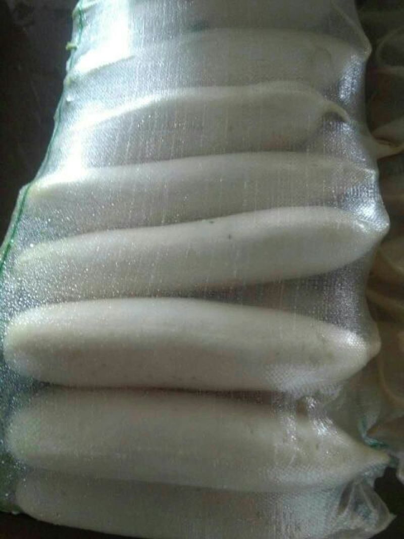 白萝卜1.5~2斤起