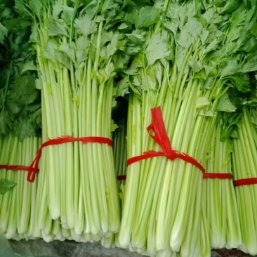 小西芹