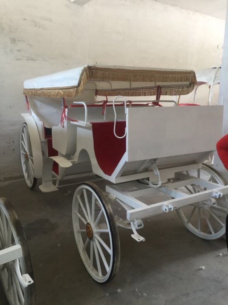 半血马400~500kg