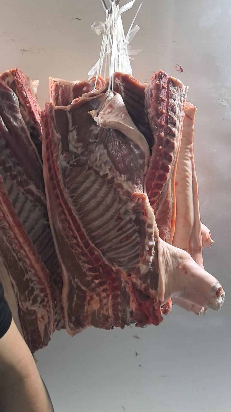 江西猪仔肉（厂家直发对接全国市场量大从优）