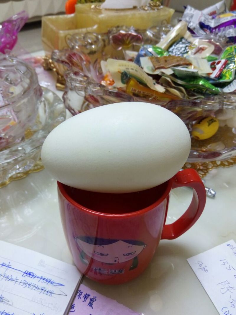 土鸡蛋食用50g以下