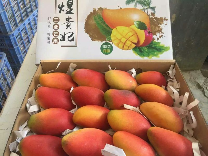 贵妃芒4两以上