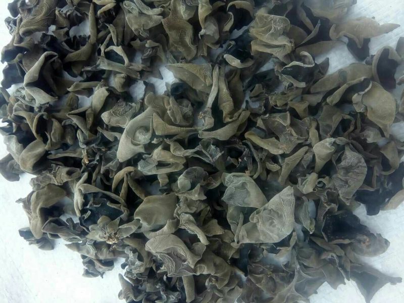 黑木耳一级