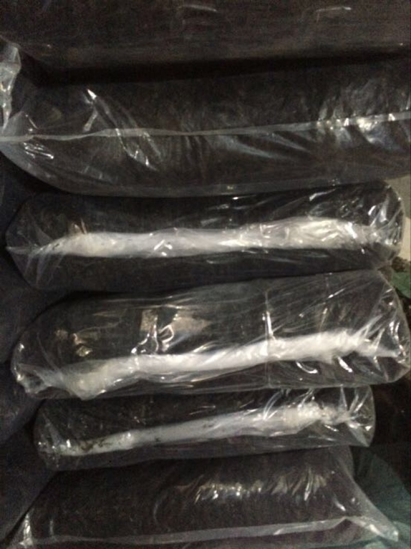 福建紫菜现货供应无杂质烘烤干无沙圆饼紫菜口感好嫩