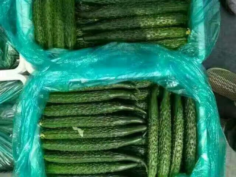 黄瓜干花带刺25公分以上