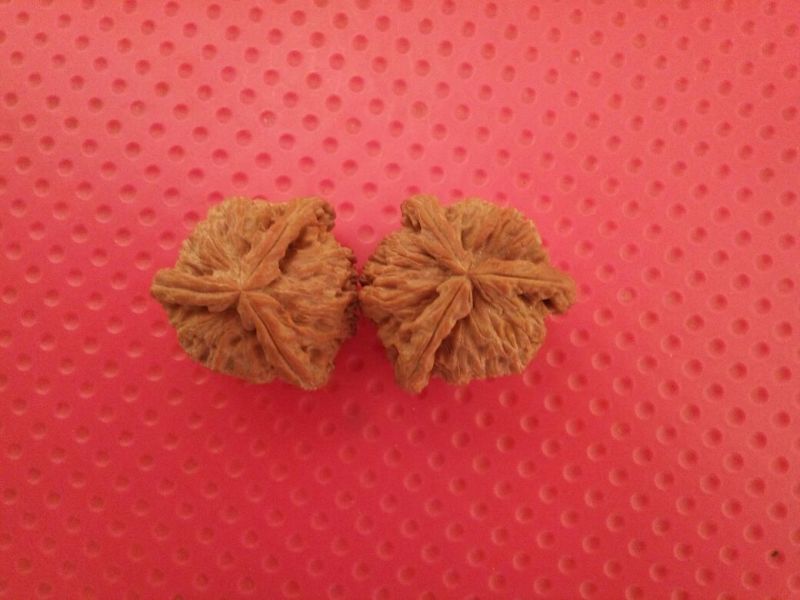 麻核桃去皮干