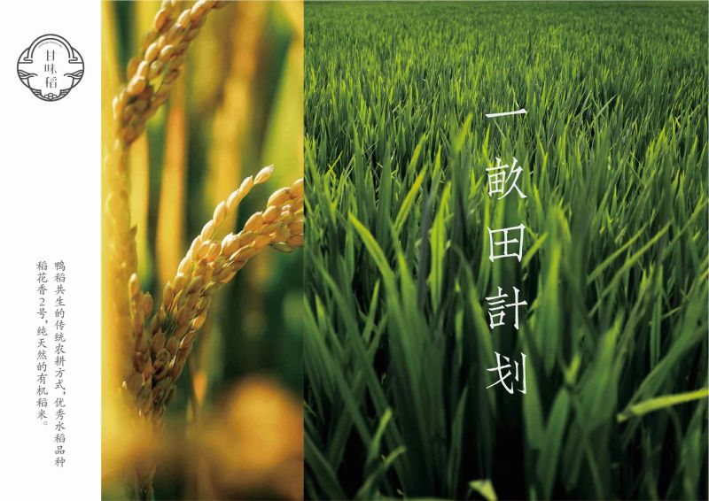 甘味稻五常大米