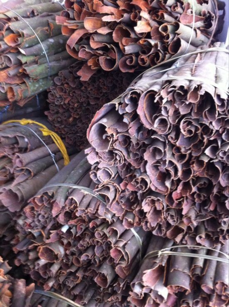 桂皮散装统货产地直销质量可靠