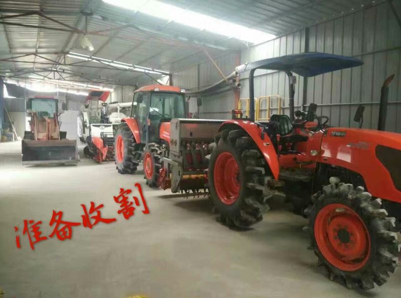 压榨菜籽油一级