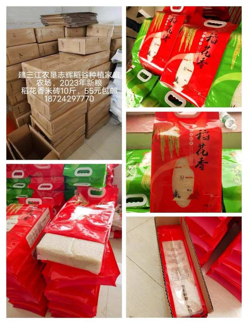 稻花香，北大荒农垦种植稻花香大米。一吨起批，支持一件代发