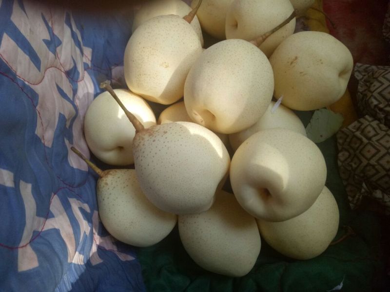 鸭梨纸箱