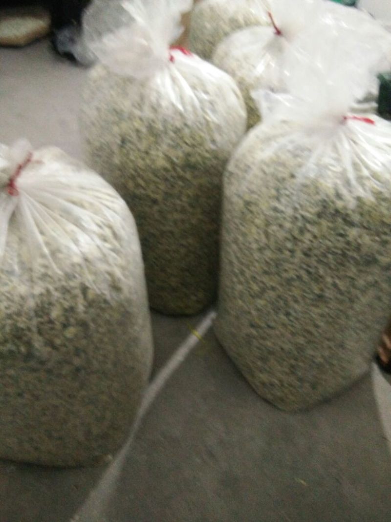 白菊花茶