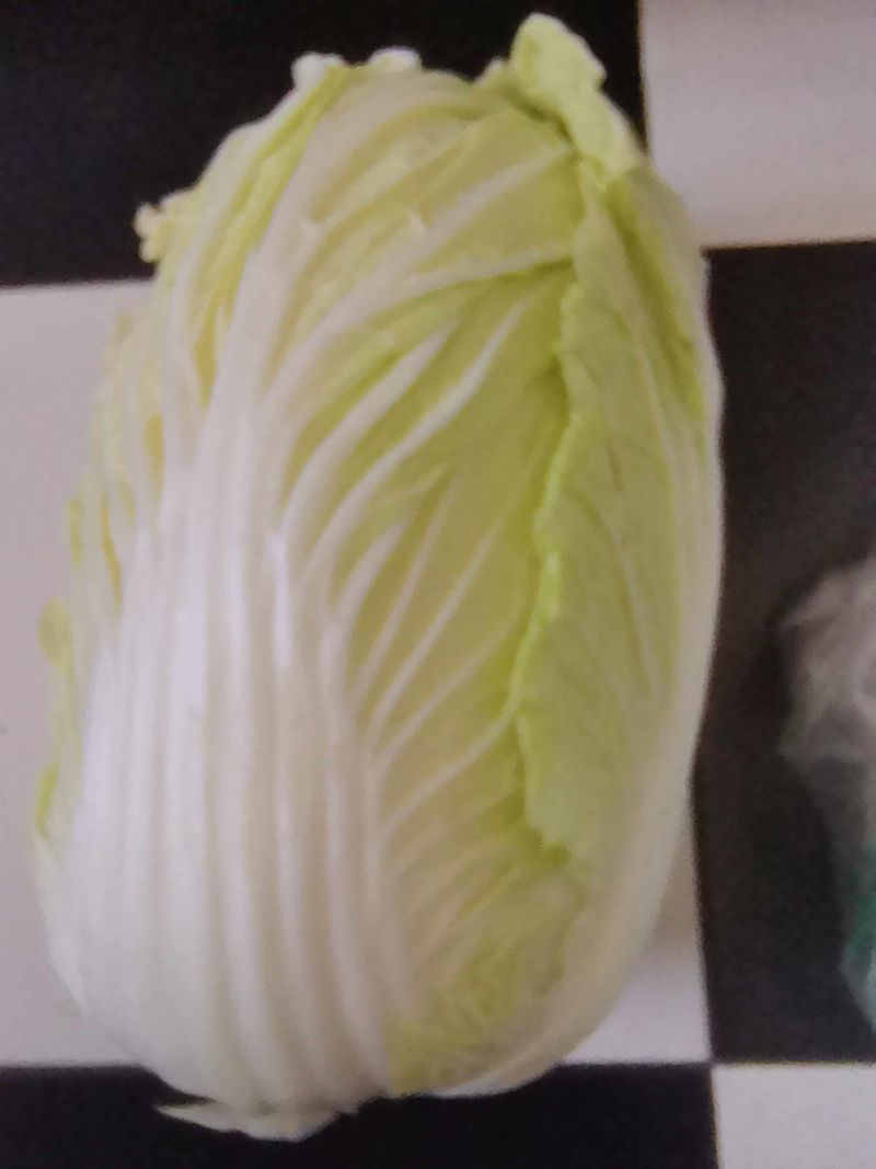 湖南汉寿县黄心大白菜，产地一手货源，量大优惠