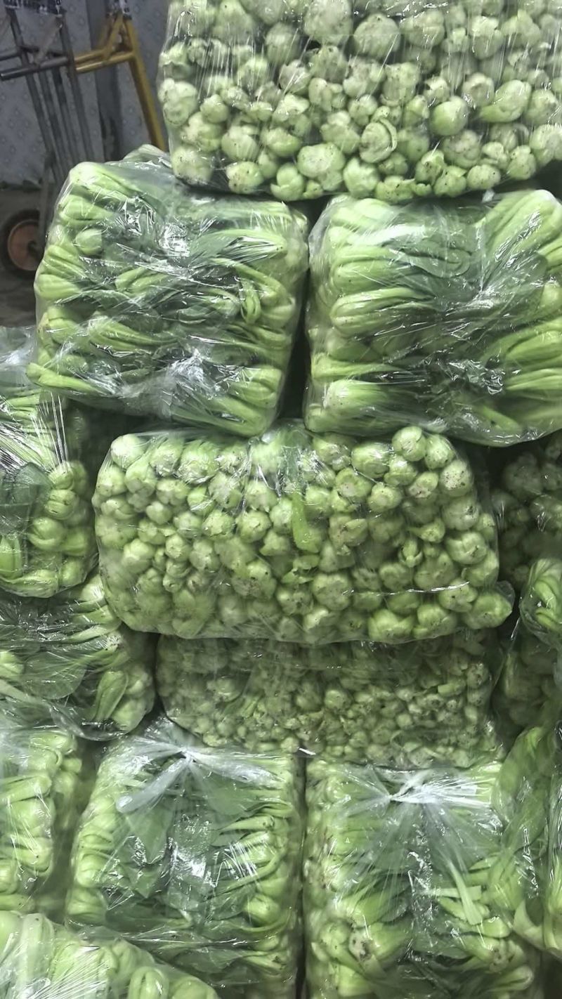 精品上海青