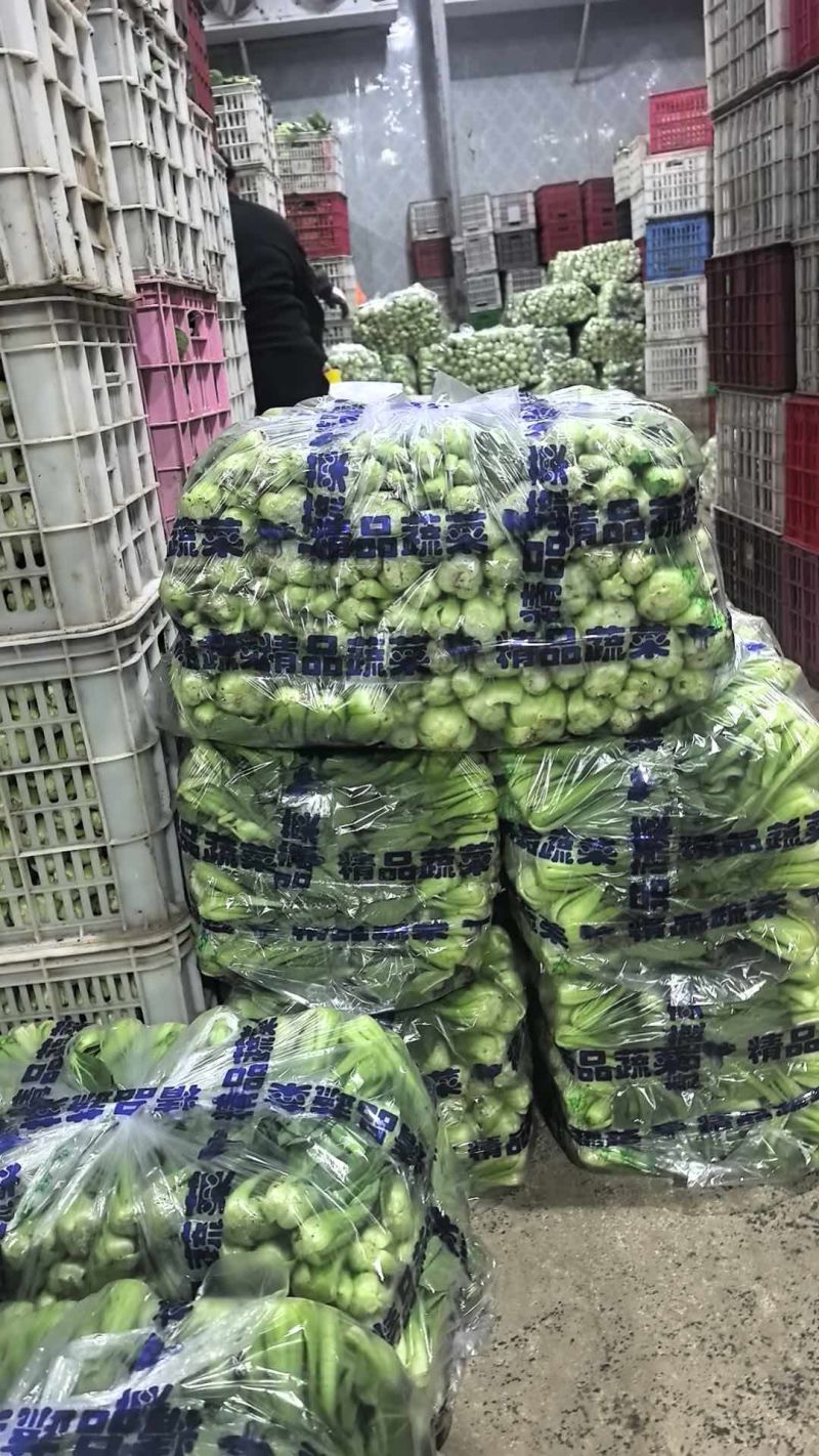 精品上海青