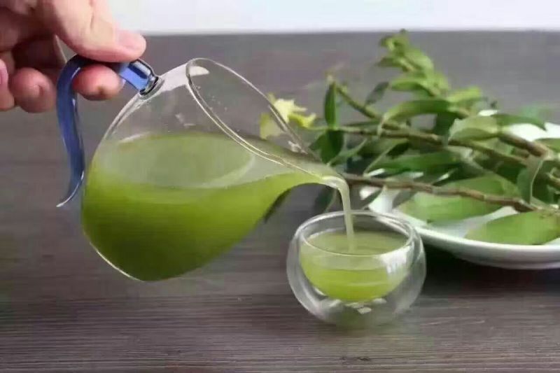 铁皮石斛鲜条雁荡山原产地