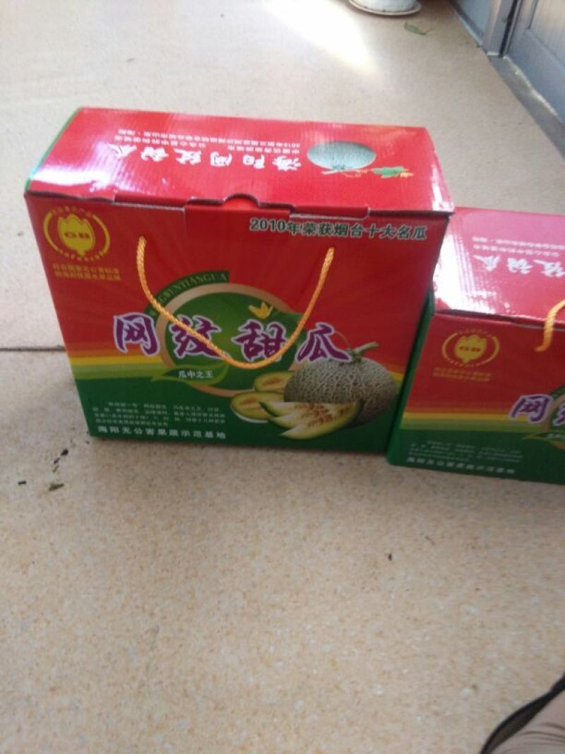 网纹瓜2斤以上长圆形
