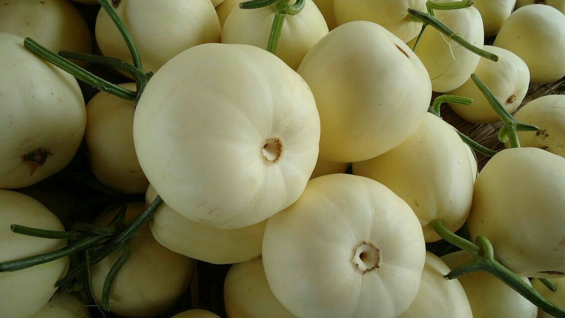 白甜双剑甜瓜河南安阳内黄县_批发_供应-一亩