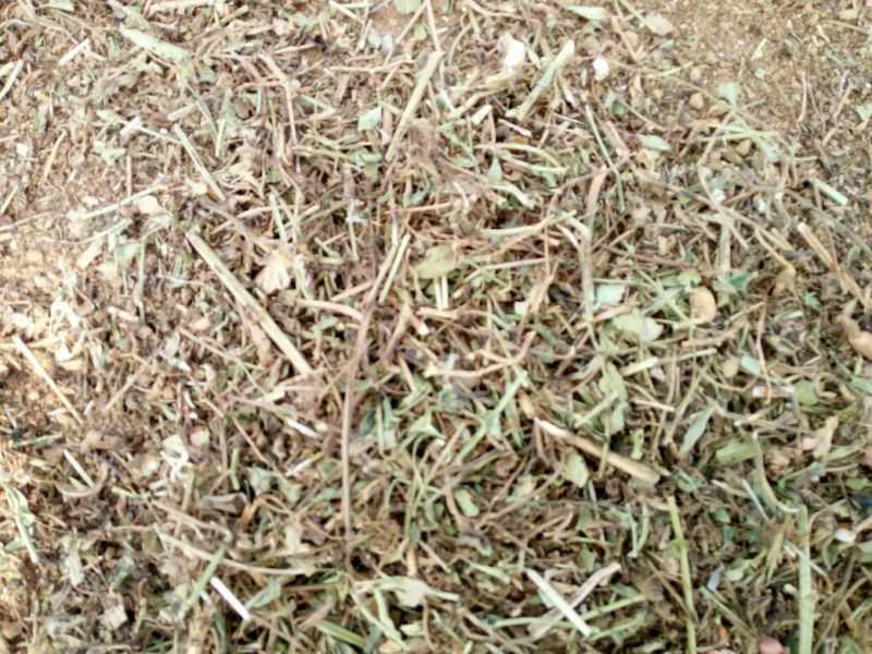 花生糠花生秧草粉
