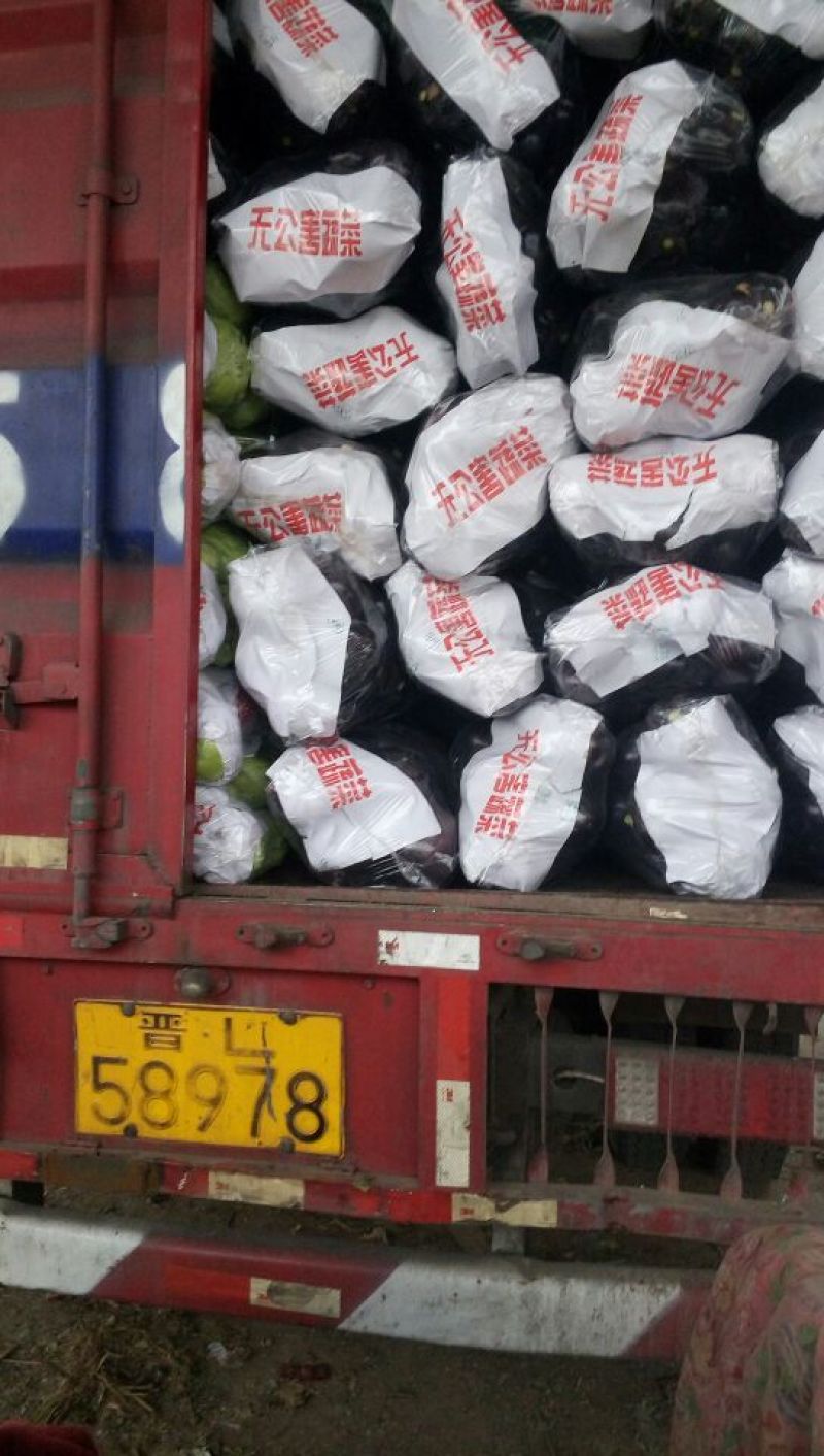 【茄子】河北紫光圆茄净重4两以上产地直销量大从优