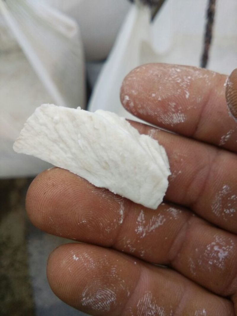 红薯粉面颗粒