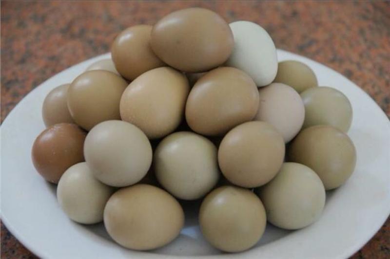 长年批发新鲜野鸡蛋，保质保量。咨询客服下单有优惠。